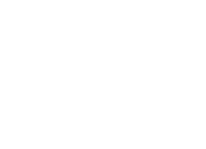 Imagen - Logo Plan Castor
